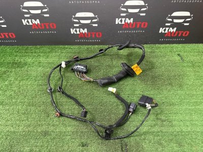 Проводка двери Hyundai Creta 2021 GS