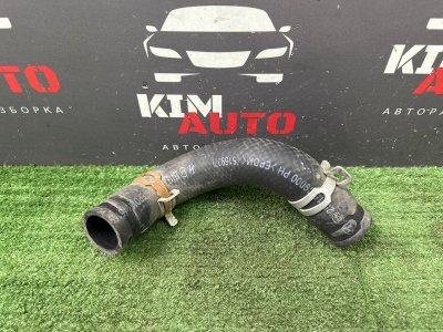 Патрубок радиатора нижний Hyundai Creta 2017 GS