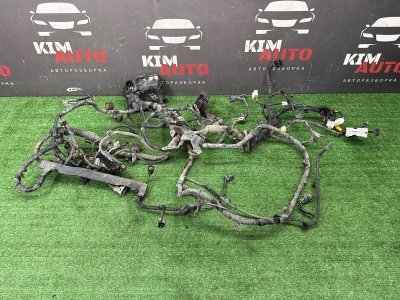 Проводка моторного отсека с блоком предохранителей Hyundai Solaris 1 2013 RB