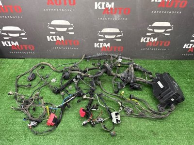 Проводка моторного отсека с блоком предохранителей Kia Cerato 4 2021 BD