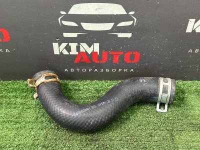 Патрубок радиатора верхний Hyundai Creta 2021 GS