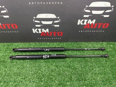 Амортизаторы крышки багажника Peugeot 307