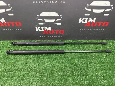 Амортизаторы крышки багажника Peugeot 207