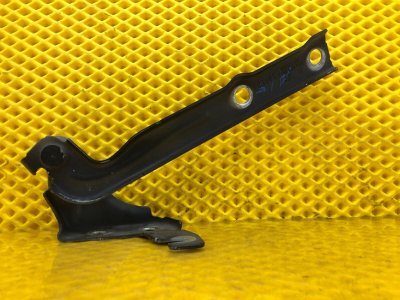 Петля капота левая Volkswagen Tiguan