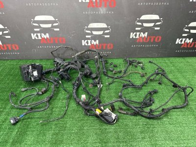 Проводка моторного отсека с блоком предохранителей Kia Rio 3 2014 QB