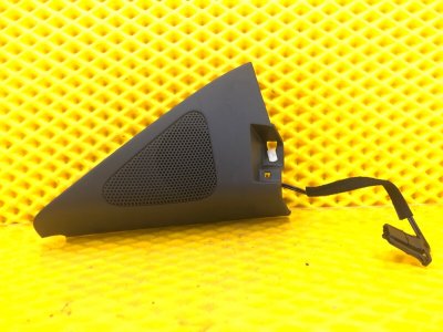 Динамик передний Volkswagen Tiguan