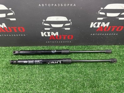 Амортизаторы крышки багажника Hyundai SantaFe 2