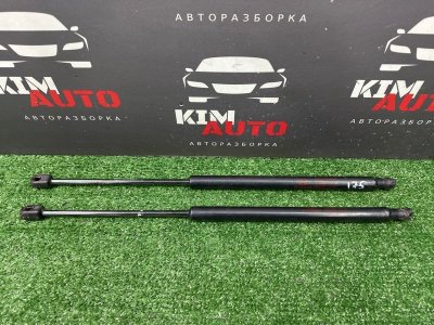 Амортизаторы крышки багажника Hyundai Getz
