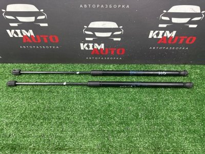 Амортизаторы крышки багажника Skoda Octavia A5