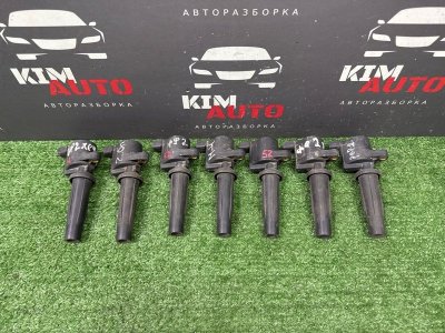 Катушка зажигания Ford Focus 2