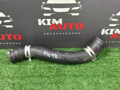 Патрубок радиатора Kia Rio 3 2017 QB