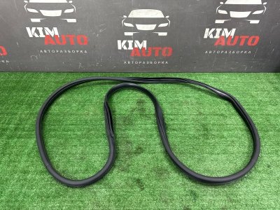Уплотнитель проема двери Kia Sportage 3 2015 SL