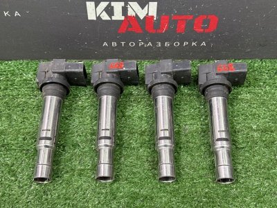 Катушка зажигания Skoda Fabia 2