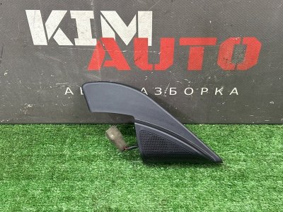 Твиттер зеркала Kia Sportage 3 2015 SL