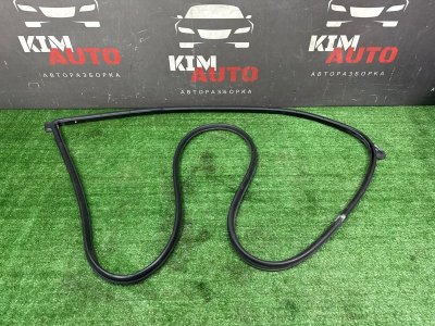 Уплотнитель двери Kia Sportage 3 2015 SL