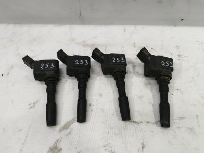 Катушка зажигания Volkswagen Polo 2020