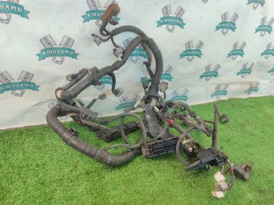 Электропроводка TOYOTA Corolla Fielder NZE141