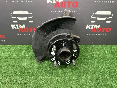 Кулак поворотный Vortex Estina