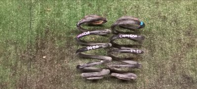 Пружины RENAULT Symbol 2007 2