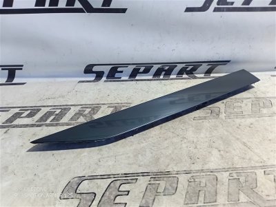 Молдинг двери Skoda Superb 2015 III