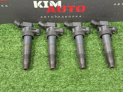 Катушка зажигания Hyundai Santa Fe