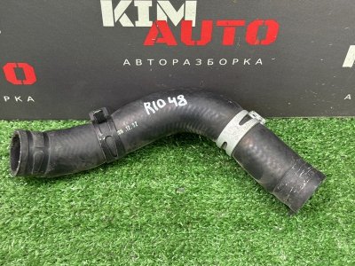 Патрубок радиатора Kia Rio 3 2017 QB