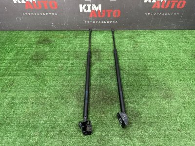 Упор крышки багажника Ford Kuga 2013 SUV