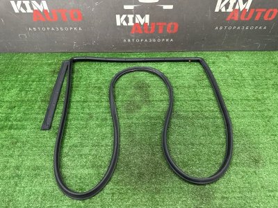 Уплотнитель двери Kia Soul 2014 SW