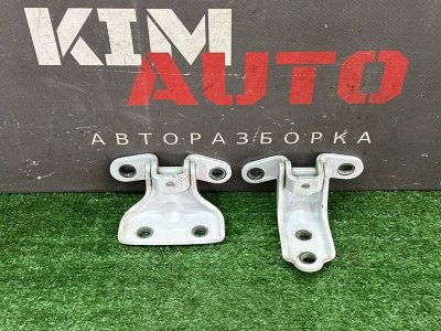 Петли двери Kia Soul 2014 SW