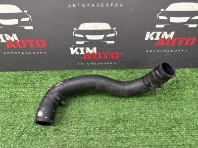 Патрубок радиатора Kia Soul 2014 SW