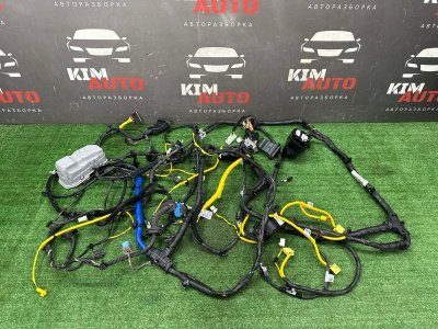 Проводка салона Kia Soul 2014 SW