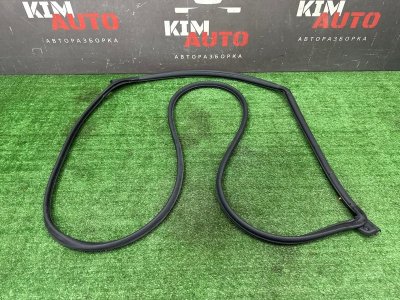 Уплотнитель двери Kia Soul 2014 SW