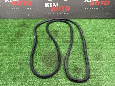 Уплотнитель двери Ford Kuga 2013 SUV