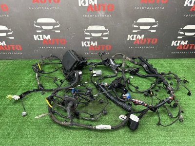 Проводка подкапотная Kia Soul 2014 SW