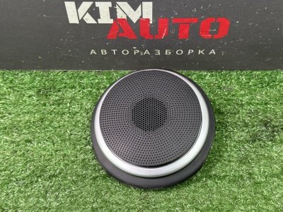 Динамик с корпусом штатный Kia Soul 2014 SW