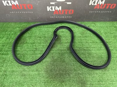 Уплотнитель проема двери Kia Soul 2014 SW