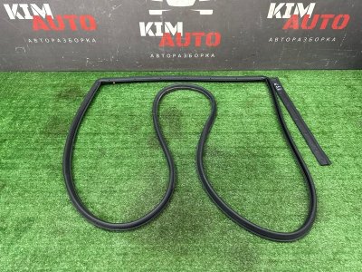 Уплотнитель двери Kia Soul 2014 SW