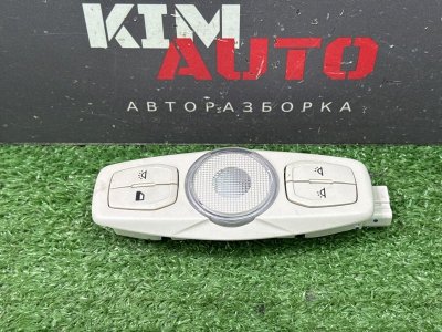 Плафон салонный Ford Kuga 2013 SUV