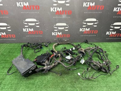 Проводка моторного отсека с блоком предохранителей Ford Kuga 2013 SUV