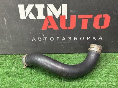 Патрубок радиатора нижний Kia Ceed 2 2015 SW