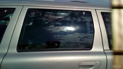 Дверь Volvo V70