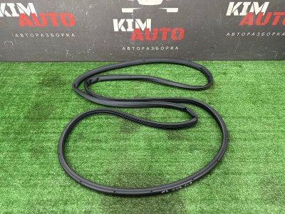 Уплотнитель двери Ford Kuga 2013 SUV