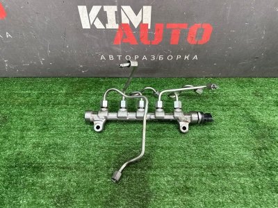 Топливная рейка Kia Soul 2014 SW