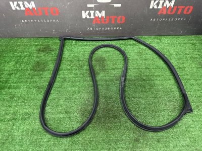 Уплотнитель двери Kia Soul 2014 SW