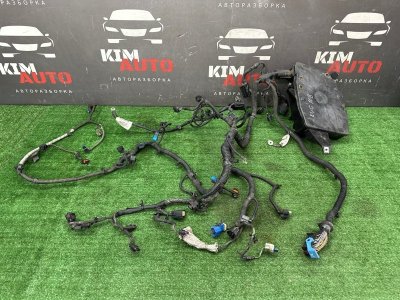 Проводка двигателя Ford Kuga 2013 SUV