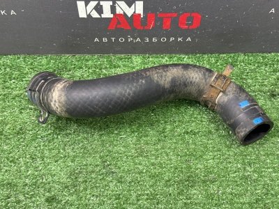 Патрубок радиатора Kia Soul 2014 SW