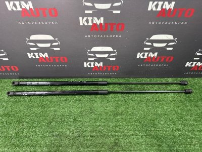 Упор капота Kia Soul 2014 SW