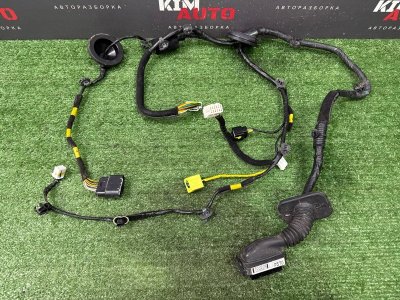 Проводка двери Kia Soul 2014 SW
