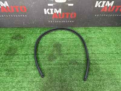 Уплотнитель жабо Kia Soul 2014 SW