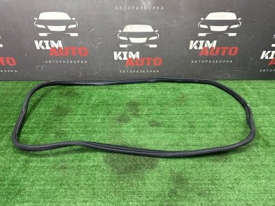 Уплотнитель проема двери Kia Ceed 2 2015 SW
